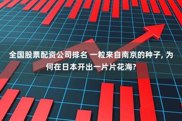 全国股票配资公司排名 一粒来自南京的种子, 为何在日本开出一片片花海?