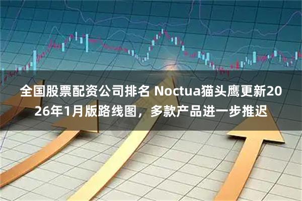 全国股票配资公司排名 Noctua猫头鹰更新2026年1月版路线图，多款产品进一步推迟